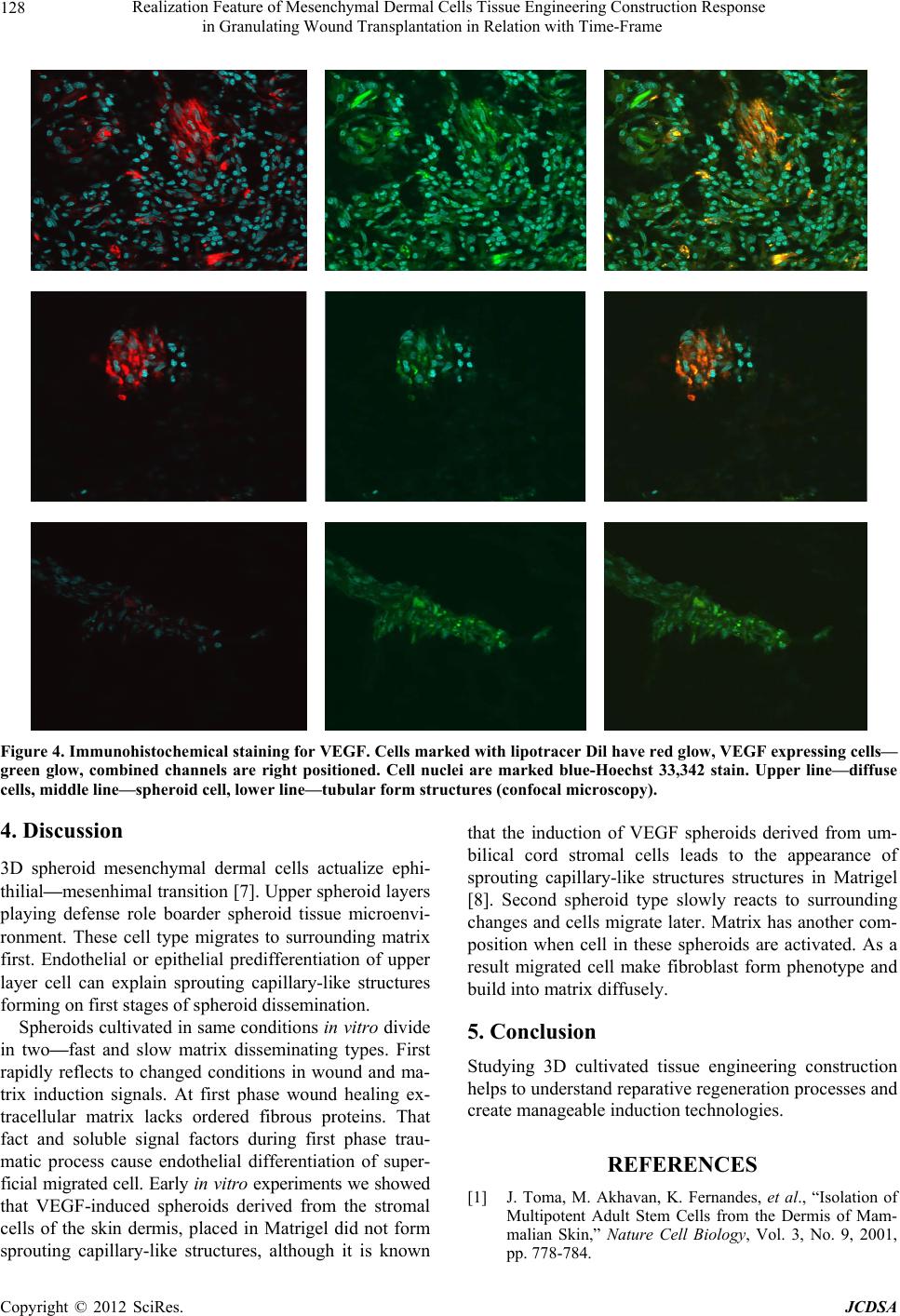 Dermal Paper Realization Feature of Mesenchymal Dermal Cells Tissue Engineering ...