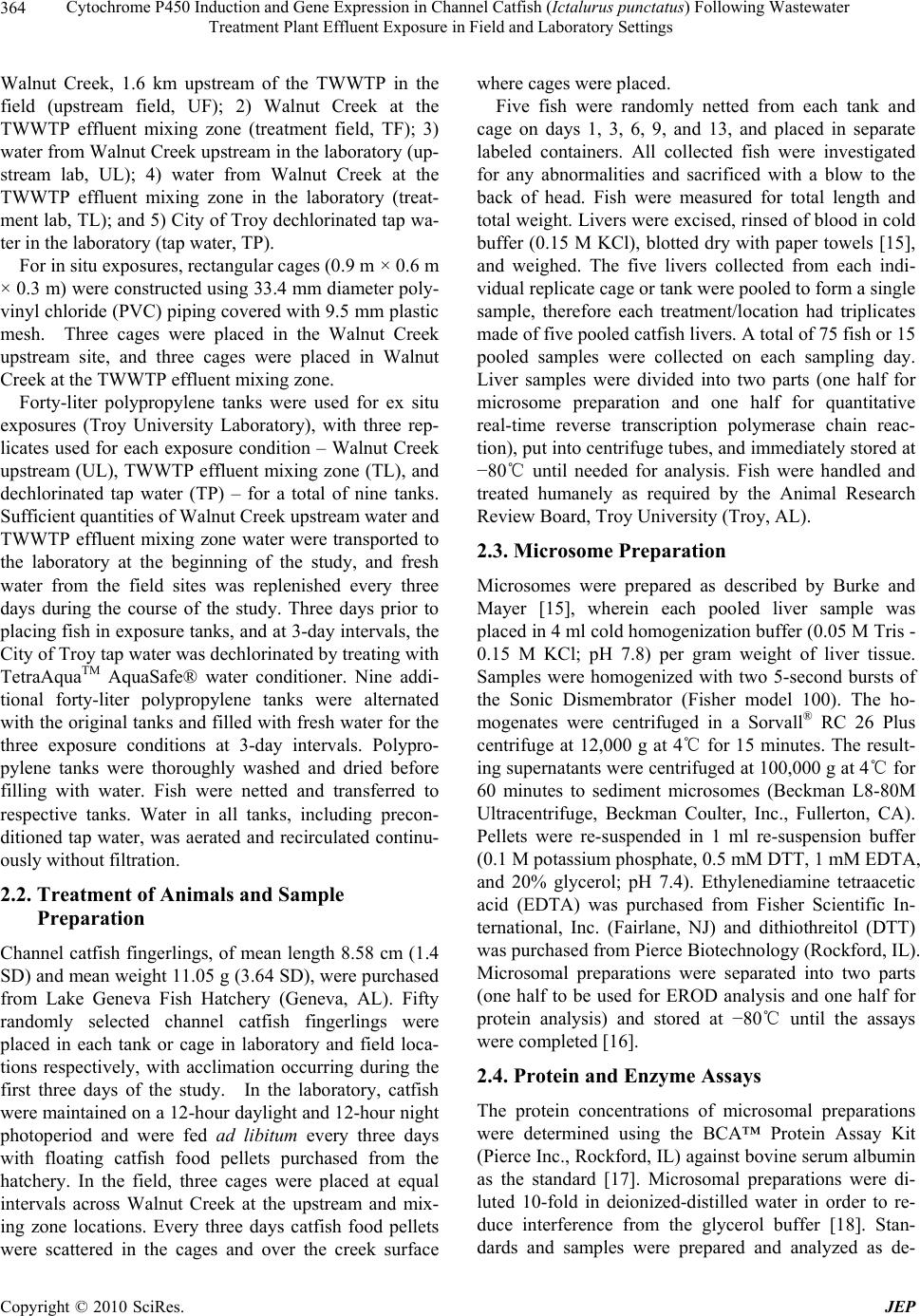 Cytochrome P450 Induction And Gene Expression In Channel Catfish Cytochrome P450 Induction And Gene Expression In Channel Catfish