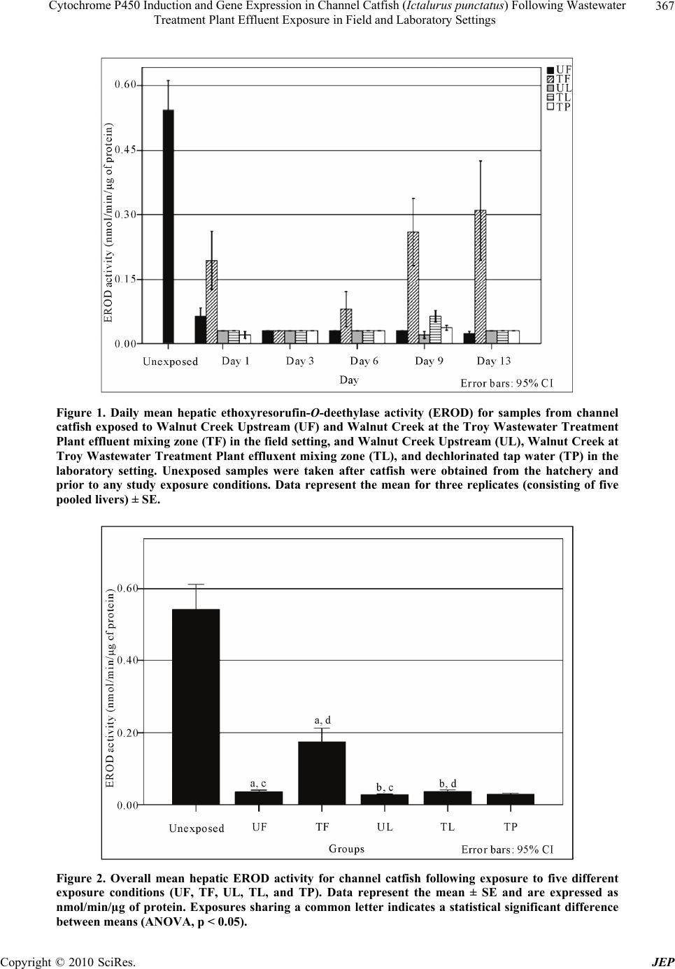 Cytochrome P450 Induction And Gene Expression In Channel Catfish Cytochrome P450 Induction And Gene Expression In Channel Catfish