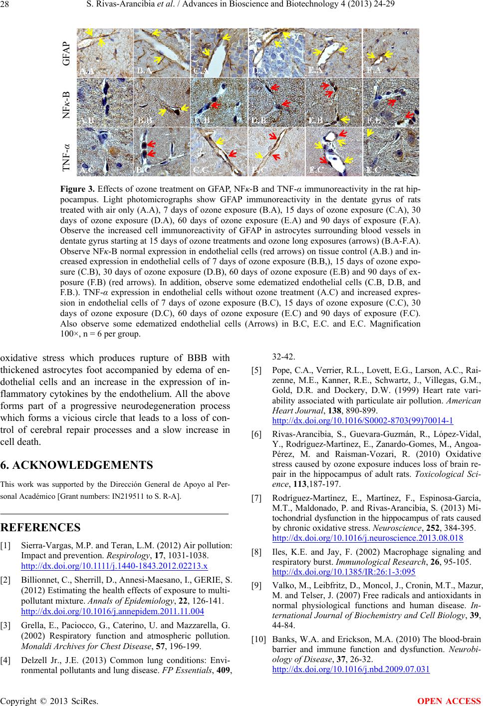 Chronic exposure to low doses of ozone produces a state of oxidative ...