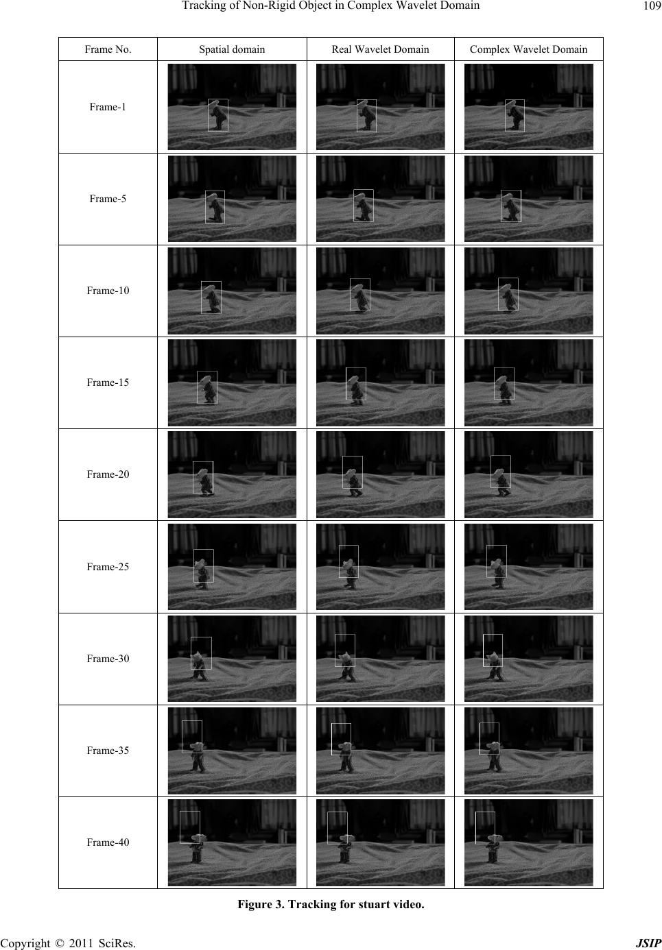 Tracking of Non-Rigid Object in Complex Wavelet Domain