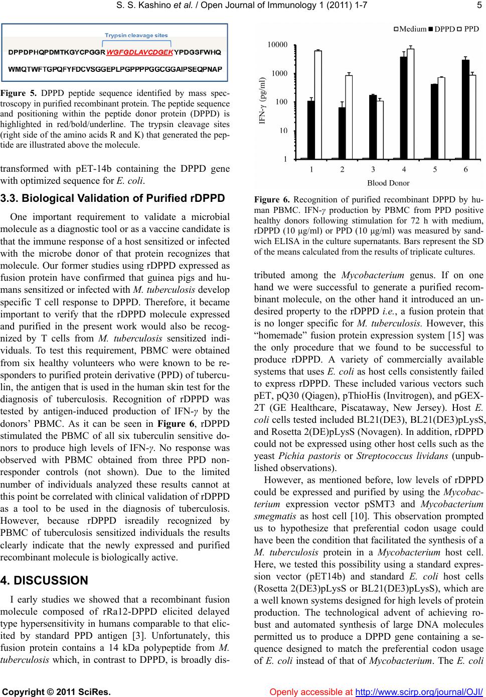 Successful expression and purification of dppd, using a codon optimized ...